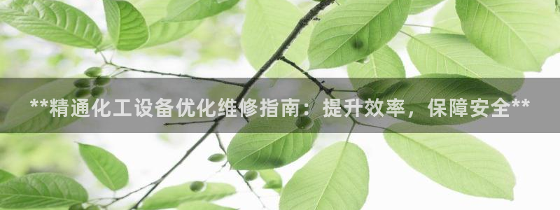 新城平台登录入口官网查询信息