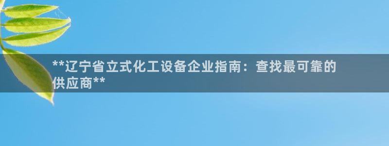 新城平台企业信息查询：**辽宁省立式化工设备企业指南：查找最